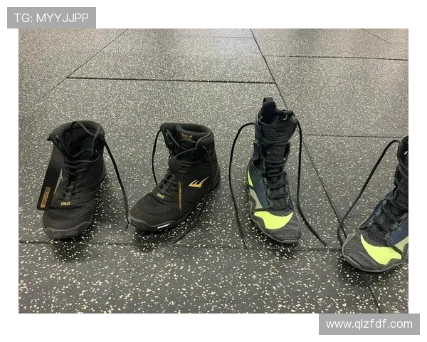 全方位全面解析拳击装备选购指南与高性价比实用推荐综合汇编大全